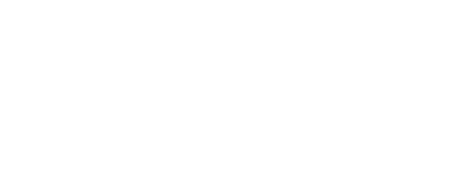 testnetx.com